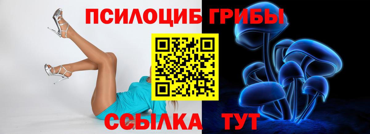 Йошкар-Ола  Галлюциногенные грибы Cubensis  Вход с VPN 